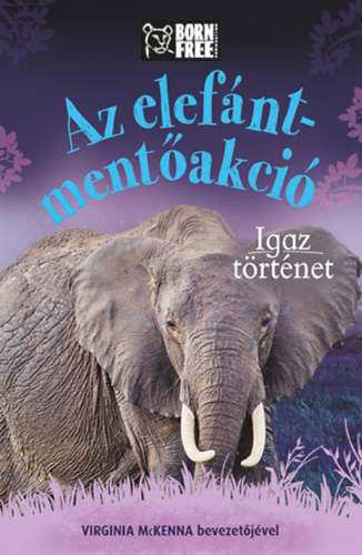 Az elefánt- mentőakció - Igaz történet