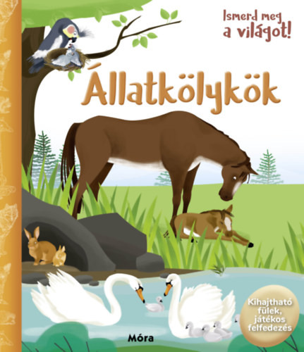 Ismerd meg a világot! - Állatkölykök